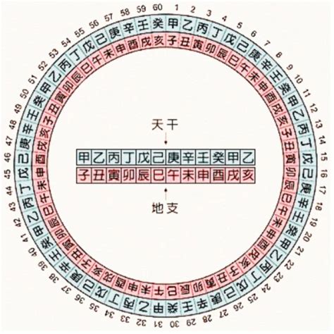 天干地支属性|天干属性 干支纪年对照表